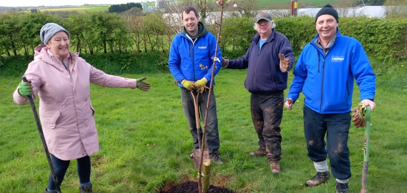 Volunteers and colleagues planting at the orchard.