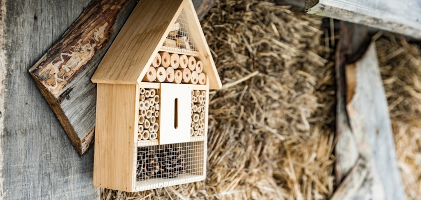 Bug hotel craft