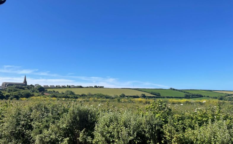 Plot  &  view from Alston rise 