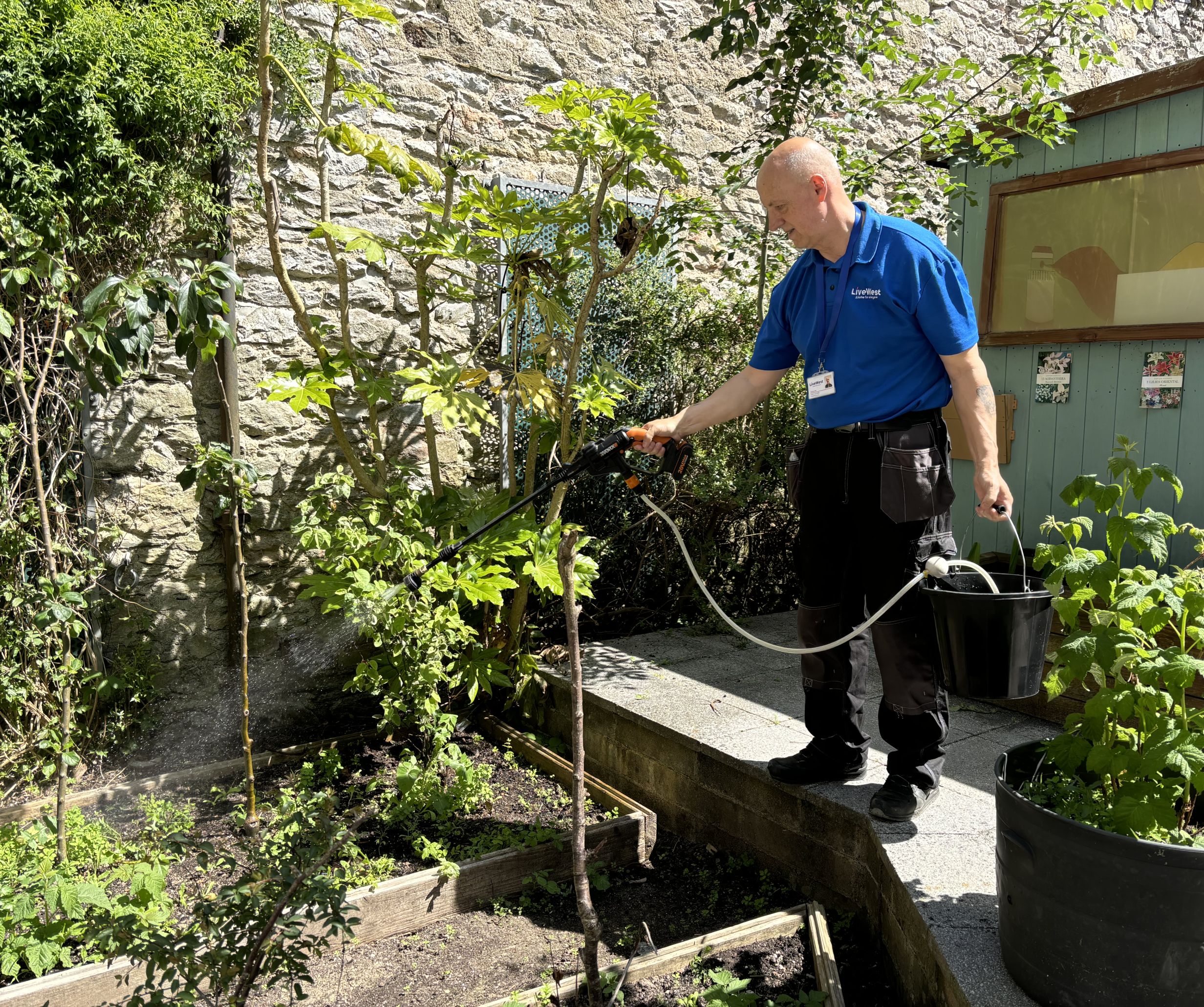 Plymouth Foyer garden with LiveWest colleague