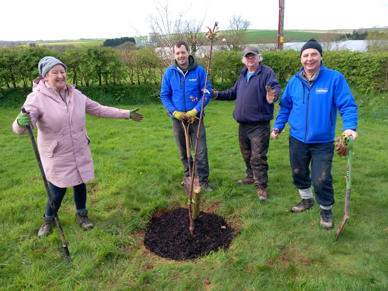 LiveWest colleagues and customers involved in the tree planting.