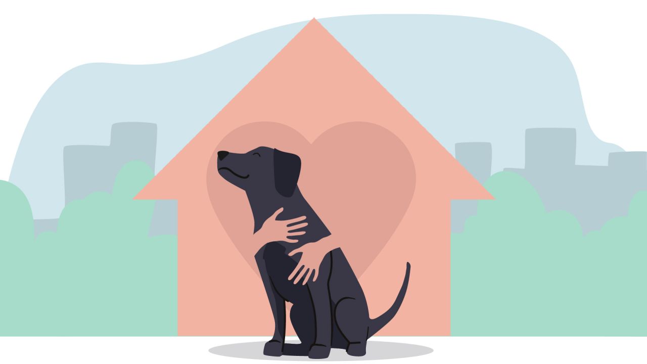 Illustration of a home hugging a dog. 