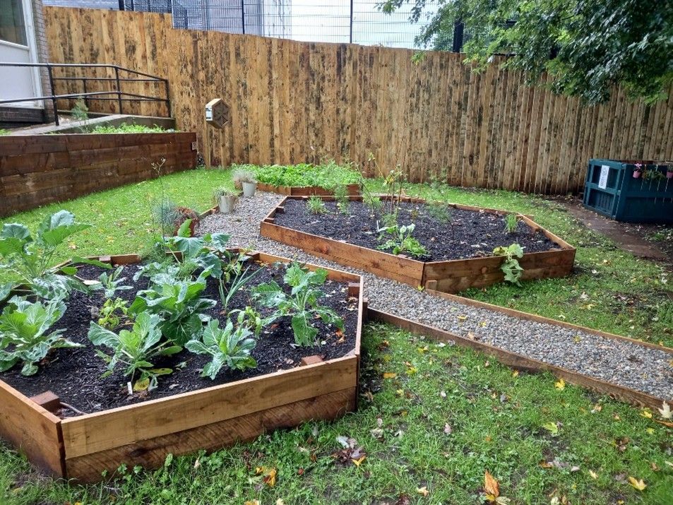 Image of Courtenay Centre garden.