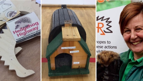 Encouraging the community to look after their wildlife, including hedgehogs