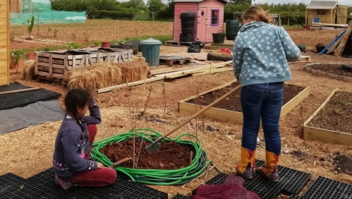 Gardening