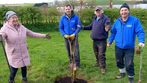 Volunteers and colleagues planting at the orchard.