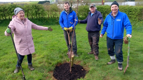 LiveWest colleagues and customers involved in the tree planting.