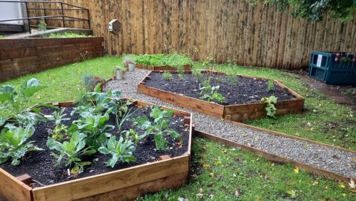 Image of Courtenay Centre garden.